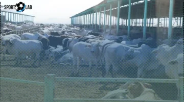 الحكومة تطرح فرصة استثمارية لراغبي إنشاء مشروع بدون رأس مال وربح مضمون